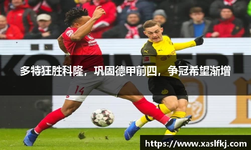 完美体育在线入口官网