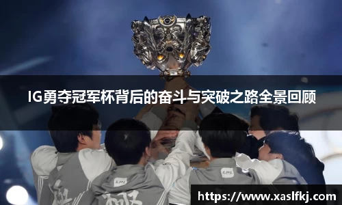 完美体育在线入口官网